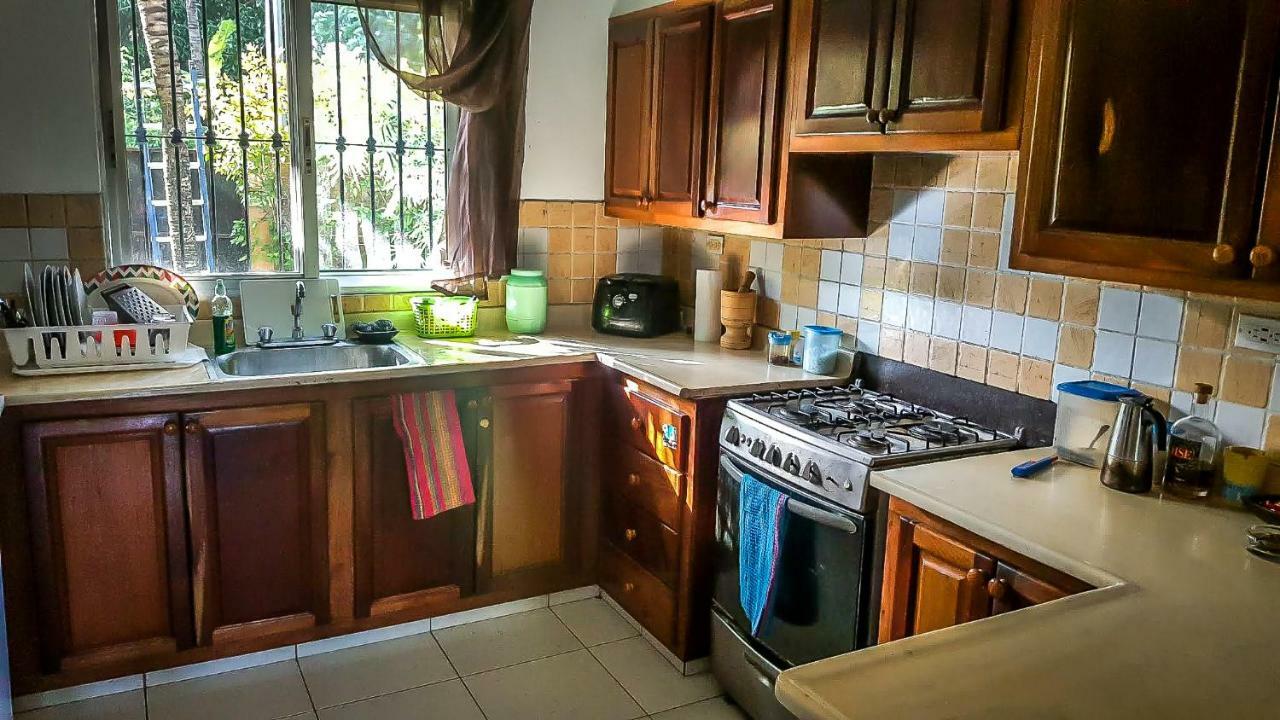 Villa Strelitzia Cabarete Bagian luar foto